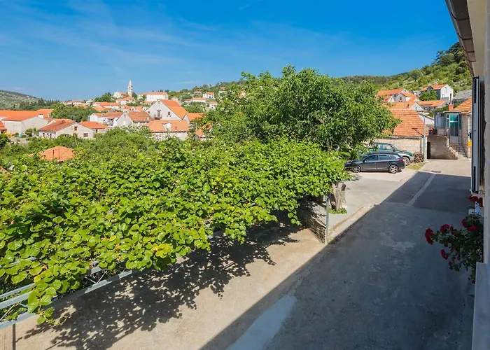 House Andre Nyaraló